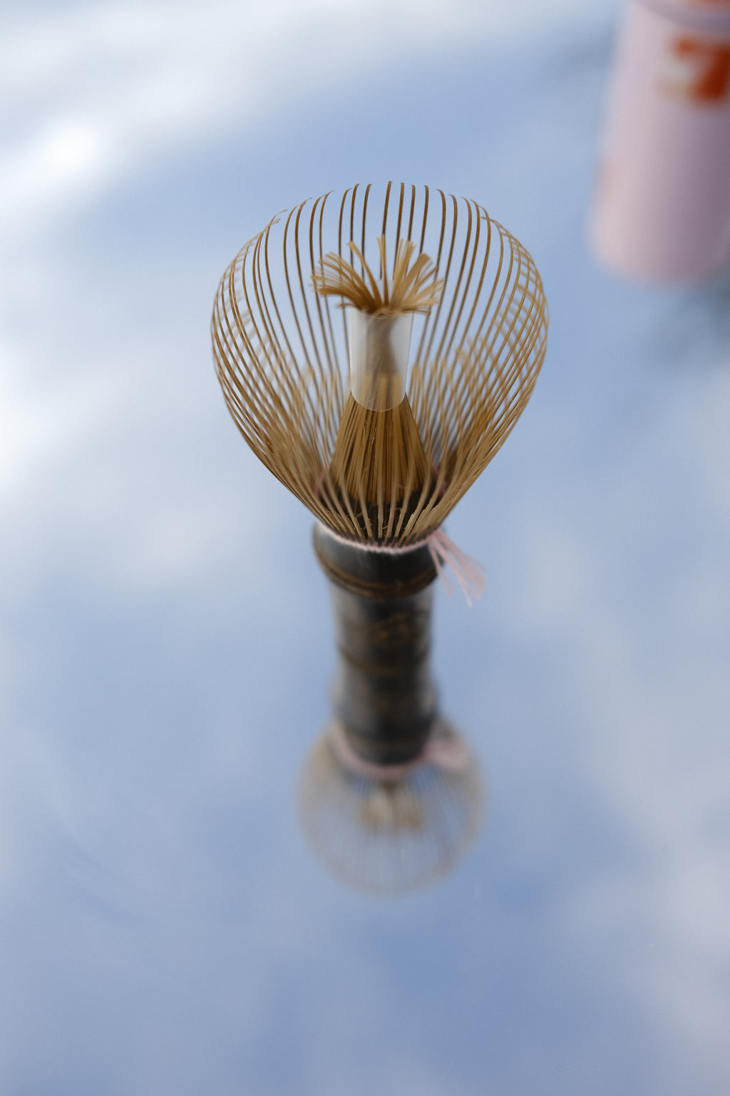 Shin Chasen  - Dark Bamboo 100 prongs (Pink Thread)