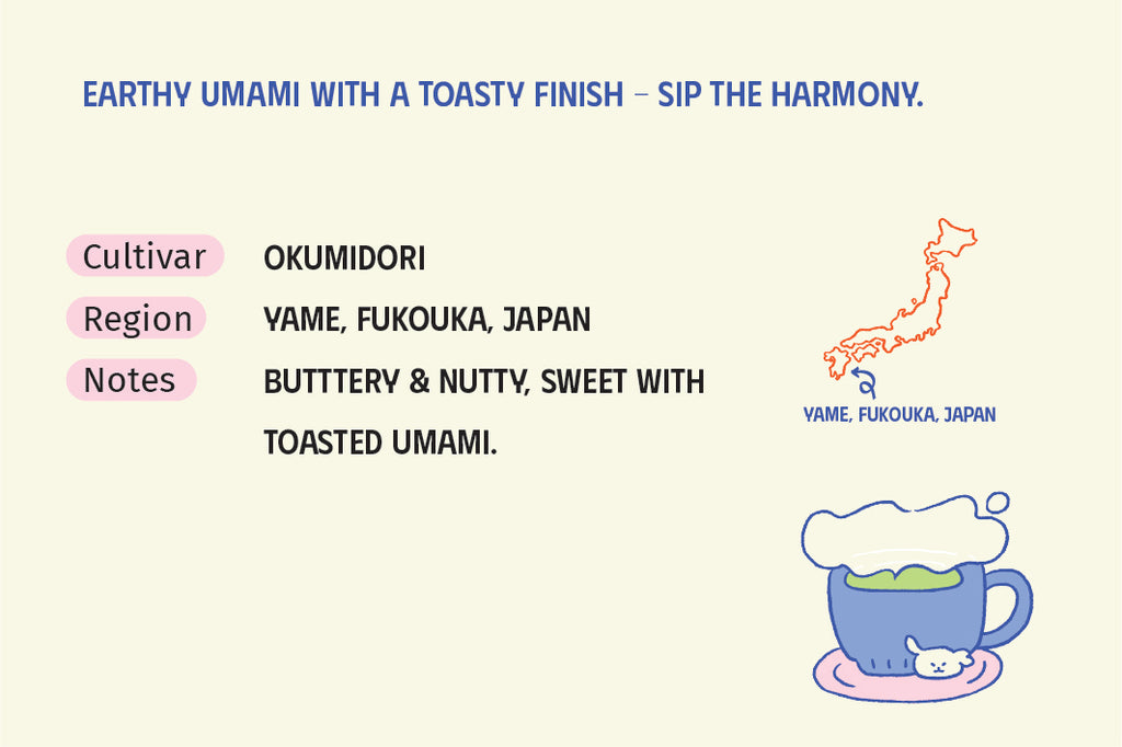 Yame Okumidori Matcha - First Harvest Flush - CafeKobe LIMITED* (2026/12)